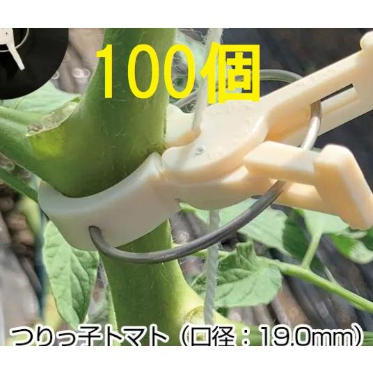 100個入) つりっ子 トマト用 (バネ レギュラー) つりっこ ハウス栽培用