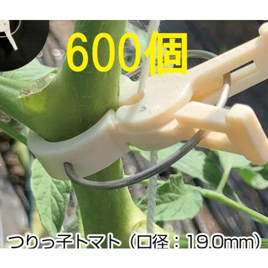 新しい到着 ハウス栽培用誘引具 つりっ子 トマト用 バネ レギュラー 600個入 100個入 6袋 つりっこ ナスニックス 代引き手数料無料 Www Technet 21 Org