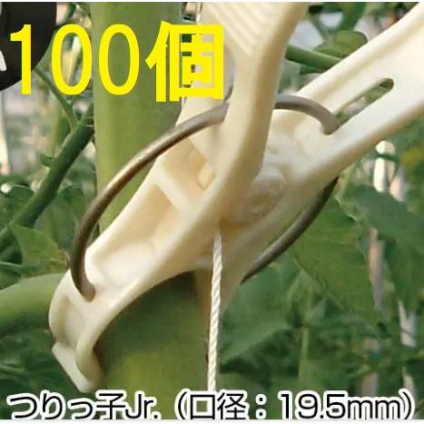 ハウス栽培用誘引具 つりっ子jr バネ ハード 太 100個入 つりっこ つりっ子トマトjr ナスニックス Saka1166 ザ タッキーyahoo 店 通販 Yahoo ショッピング
