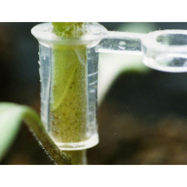 1000個入) 接木ホルダー スーパーウィズ ナスニックス ※14号、17号、20