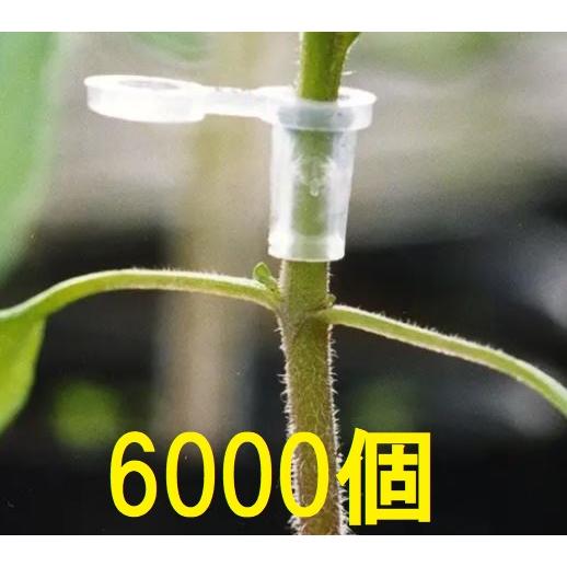 6000個入) 接木ホルダー スーパーウィズ 1000個入×6袋 ナスニックス