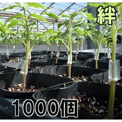 1000個入) 接木ホルダー 絆 (きずな) ナスニックス ※15号、18号、21