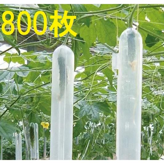 (800個入) ゴーヤ整形具 スマート (100個入×8) (苦瓜) ナスニックス