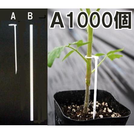 たちんぼ T 110p A 1000個入 幼苗支え棒 苗倒れ防止 ナスニックス Saka11 ザ タッキーyahoo 店 通販 Yahoo ショッピング