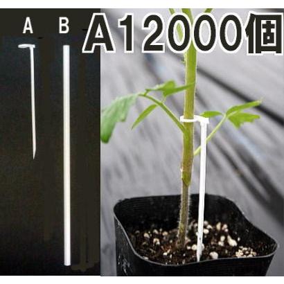 12000個入) たちんぼ T-110P(A) 1000個入×12袋 幼苗支え棒 苗倒れ防止