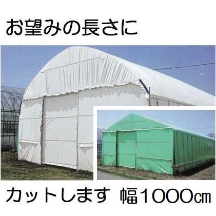 厚み0 15mm 幅1000cm 長さ30ｍ ハクリョク 重さ約45 9kg 農poフィルム 30m価格 温室 ビニールハウス 農業用格納庫 業務 産業用 白 緑 両面仕様 Saka1211 ザ タッキー店 倉庫 重さ約45 9kg 三菱ケミカルアグリドリーム ビニール Poフィルム