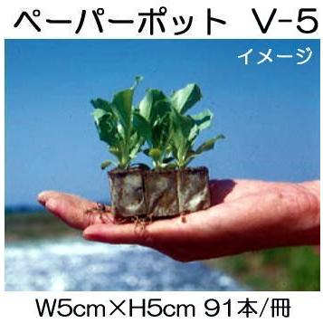 (300冊入) ニッテン ペーパーポット V-5 91本付 トマト、キャベツ、ブロッコリー、南爪に 日本甜菜製糖 |法人・個人事業者向け