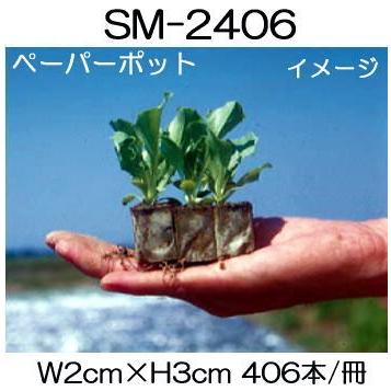 (200冊入)　ニッテン　ペーパーポット　日本甜菜製糖　SM2406　|法人・個人事業者向け　406本付　レタス、サラダ菜、チンゲンサイ、花卉類に