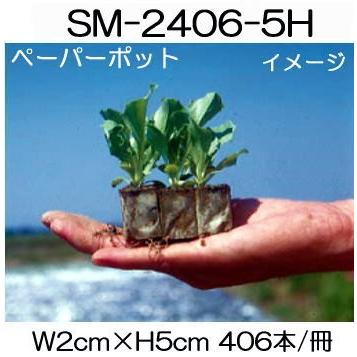 (120冊入) ニッテン ペーパーポット SM2406 (5H) 406本付 トルコギキョウ、花卉類に 日本甜菜製糖 |法人・個人事業者向け