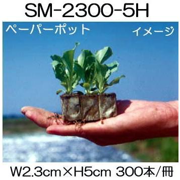 (180冊入) ニッテン ペーパーポット SM2300 (5H) 300本付 レタス、スイートコーン、トルコギキョウ、花卉類に 日本甜菜製糖 |法人・個人事業者向け