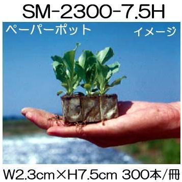 (120冊入) ニッテン ペーパーポット SM2300 (7.5H) 300本付 アスパラガス、スイートコーンに 日本甜菜製糖 |法人・個人事業者向け