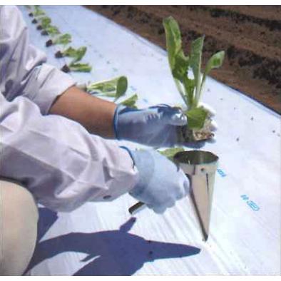 大口径ハンド移植器 ニッテン 日本甜菜製糖 (移植機 ハンドシーダー 穴
