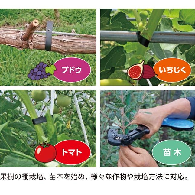 マックス（MAX） (4点セット) 強保持力テープナー HT-S45E 専用テープ