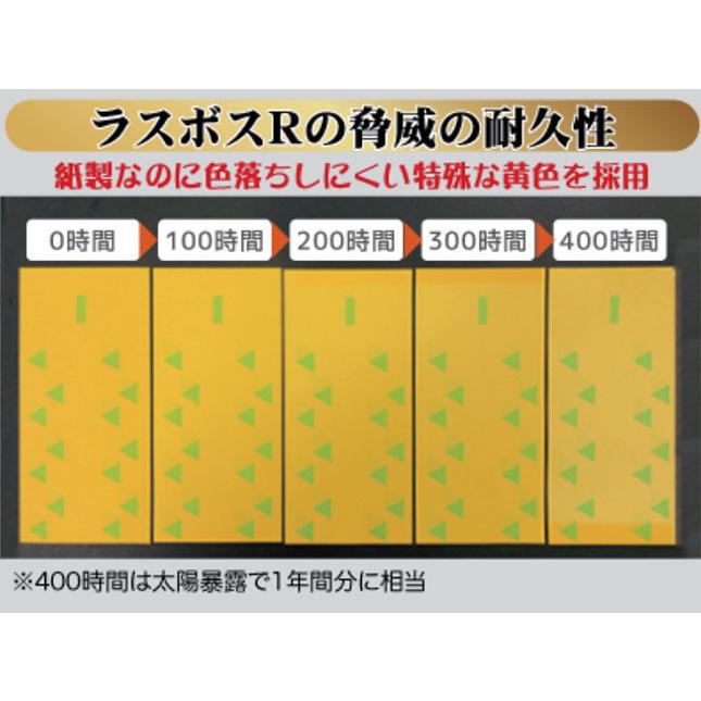 BURTLE (100枚セット) ラスボスRタイプ 20枚入×5袋 IVY114 特殊 BURTLE (100枚セット) ラスボスRタイプ 20枚入×5袋 IVY114 特殊