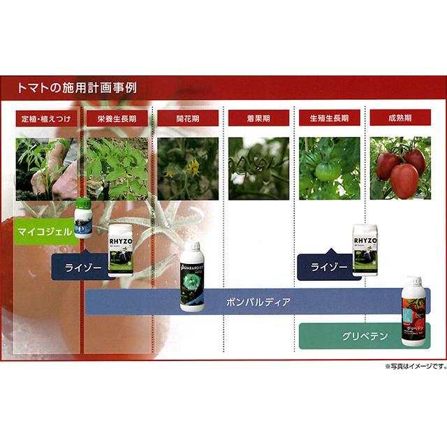 ハイポネックス ライゾー 1kg入り 根張り促進型肥料 粉末タイプ RHYZO  