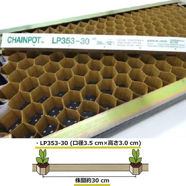 ぽもれページ ZX-160＋ 公式限定フリースポーチ付 | ZEXUS公式サイト | ゼクサス