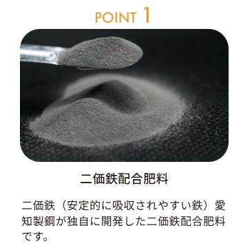 (6本セット) 鉄力トレプラス 1L 鉄力あくあFT1 葉面散布 土壌潅水 バイオスティミュラント資材 OATアグリオ (佐川等orレターパック) zm_2