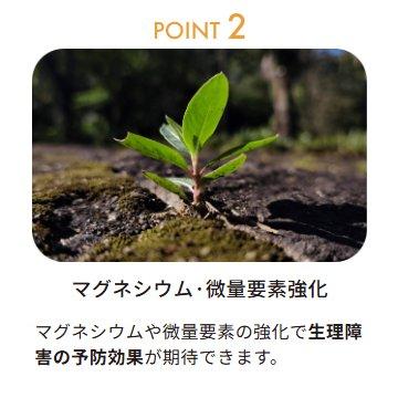 (6本セット) 鉄力トレプラス 1L 鉄力あくあFT1 葉面散布 土壌潅水 バイオスティミュラント資材 OATアグリオ (佐川等orレターパック) zm_3