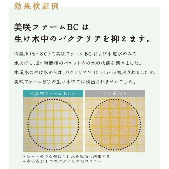 美咲ファームBC 20L 切り花ながもち液 500倍希釈 バクテリアカット