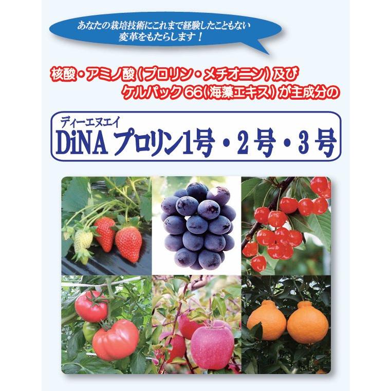 DiNAプロリン2号 5L入り 核酸、アミノ酸(プロリン・メチオニン)及び