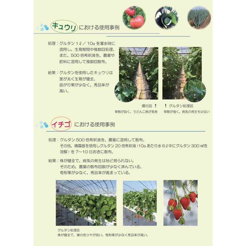 グルタンさん専用 グルタン 1L | すべての商品 | ロイヤルインダストリーズ株式会社