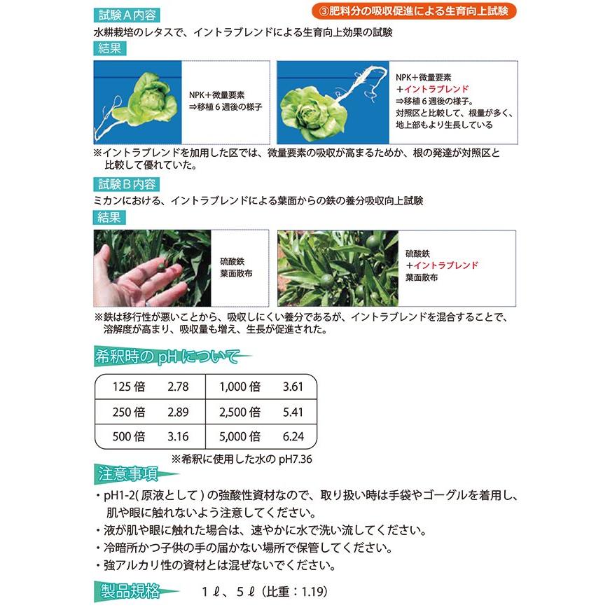 イントラブレンド 5L入り パイナップルから抽出した、肥料の効果を最大限に引き出す活力剤 バイオスティミュラント資材 液肥 ロイヤルインダストリーズ | ブランド登録なし | 02