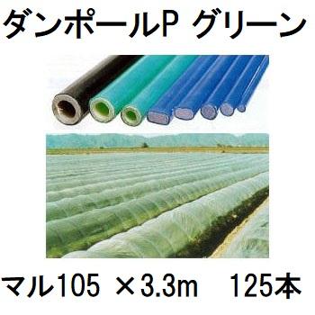 徳用125本セット) ダンポールP マル105 ×3.3m 緑 トンネル幅170cm