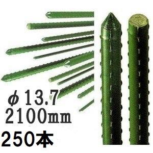 250本セット特価) セキスイ イボ竹 (プロ仕様 業務用) 農業用支柱 φ13