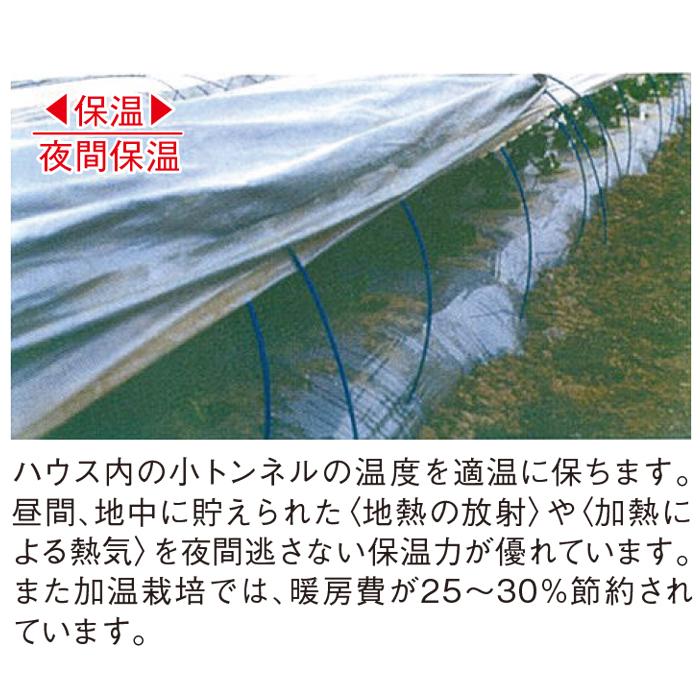 トーカン シルバーポリトウ 保温用 (厚0.05mm×幅270cm×長100m) (原反巻