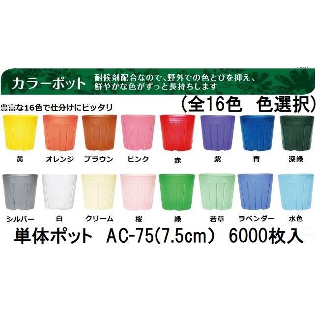 6000枚入) カラーポット ポリポット AC-75 (7.5cm) カラー (全16色 色