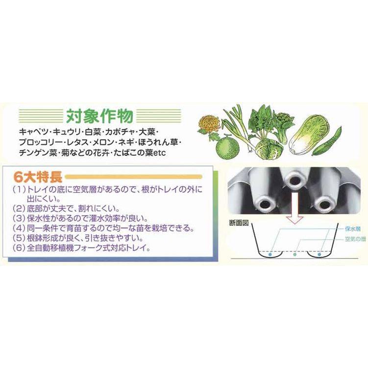 100枚セット特価) 豊作トレイ 128穴 黒 30角 590×300×44mm (セルトレー