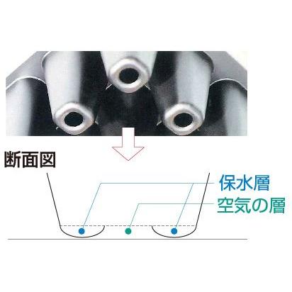 100枚セット特価) 豊作トレイ 288穴 黒 21角 590×300×38mm (セルトレー