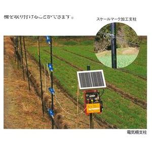 50本セット) 農業用支柱 コンポーズ コンポーズパイプ 33mm×1.5m 黒 33