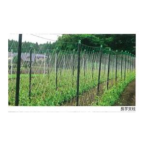 50本セット) 農業用支柱 コンポーズ コンポーズパイプ 33mm×1.5m 黒 33 