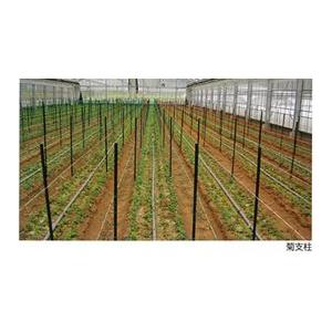 50本セット) 農業用支柱 コンポーズ コンポーズパイプ 33mm×1.5m 黒 33 