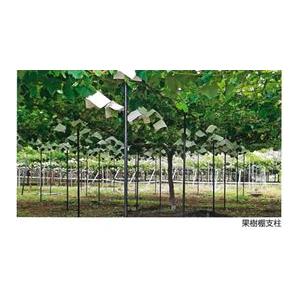 50本セット) 農業用支柱 コンポーズ コンポーズパイプ 33mm×1.5m 黒 33