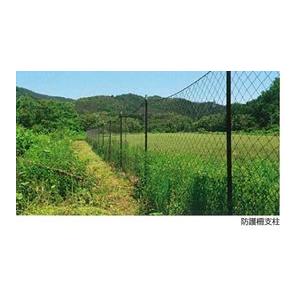 50本セット) 農業用支柱 コンポーズ コンポーズパイプ 33mm×1.5m 黒 33 