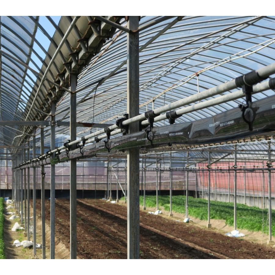 住化農業資材 (100m巻×2巻) サイド灌水ホース ミストエース S