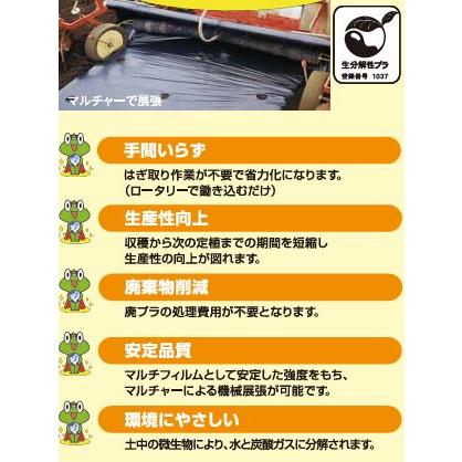 2巻セット) 生分解性マルチフィルム カエルーチ 黒 無孔 0.018mm×95cm