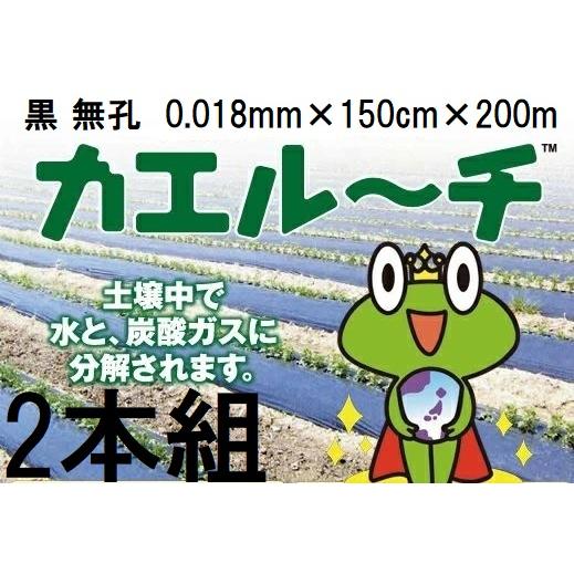 2巻セット) 生分解性マルチフィルム カエルーチ 黒 無孔 0.018mm×150cm
