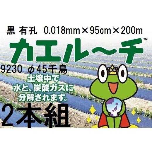 2巻セット) 生分解性マルチフィルム カエルーチ 黒 有孔 9230 φ45千鳥
