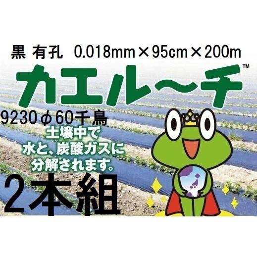 2巻セット) 生分解性マルチフィルム カエルーチ 黒 有孔 9230 φ60千鳥