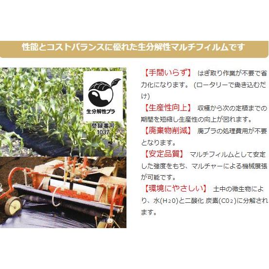 2巻セット) 生分解性マルチフィルム カエルーチ 黒 有孔 9230 φ60千鳥