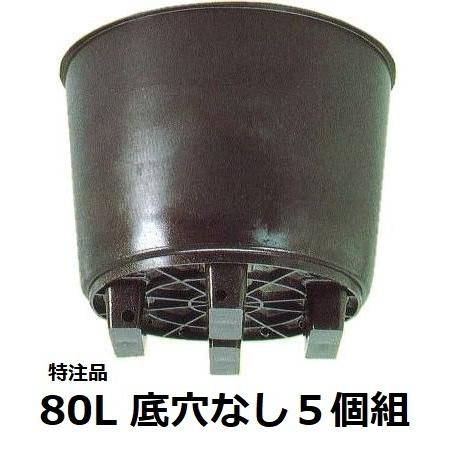 (5個セット) サンポット 80L 果樹栽培用 大型ポット 底穴なし サンポリ (法人/個人 選択)　