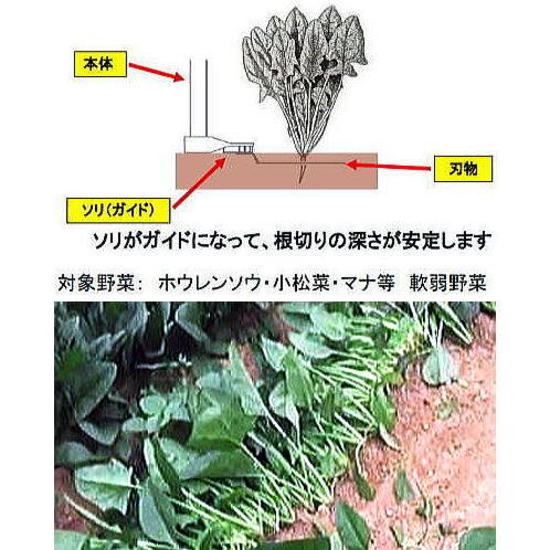 らくらく君 かま式 Yk 210 浅切りタイプ 刃の深さ10mm 野菜の簡易収穫機 ホウレンソウ 小松菜 マナなど 軟弱野菜 Sans0001 ザ タッキーyahoo 店 通販 Yahoo ショッピング