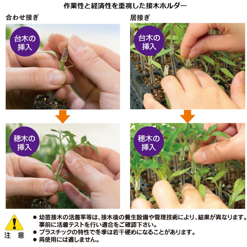 (2500個入×1袋) ナス科合わせ接木用 シンプルホルダー 1.4 SH14-25 (2500個入) シーム | ブランド登録なし | 03