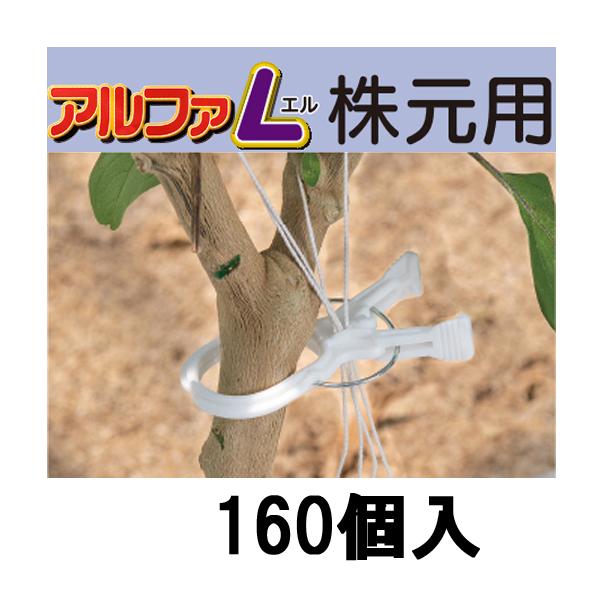NEW ARRIVAL 160個入 くきたっち アルファL 株元用 大きな茎に 誘引