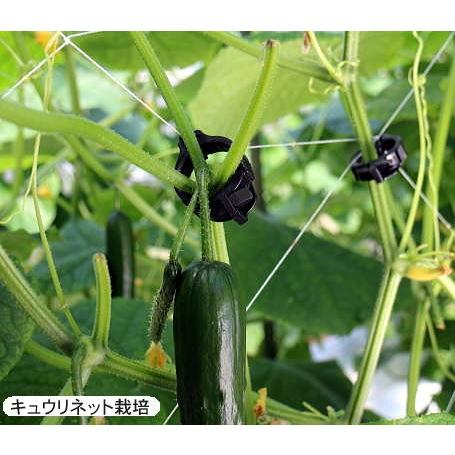 400個入) ひも誘引用クリップ ライトキャッチ 緑色 LC-G400 シーム