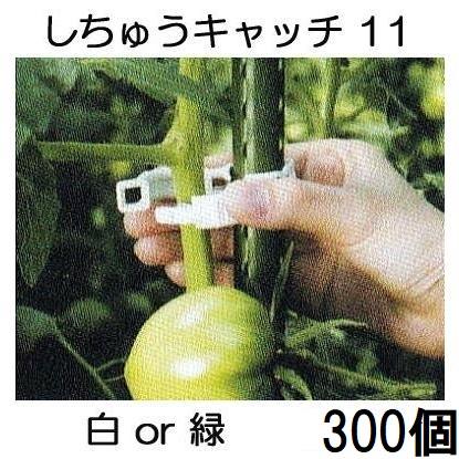 300個入×1袋) しちゅうキャッチ11 (白or緑 色選択) 支柱径11mm用 (300