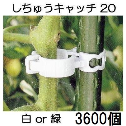 (300個入×12袋) しちゅうキャッチ20 (白or緑 色選択) 支柱径20mm用 誘引資材 (3600個入) S20W-300 S20G-300 シーム | ブランド登録なし